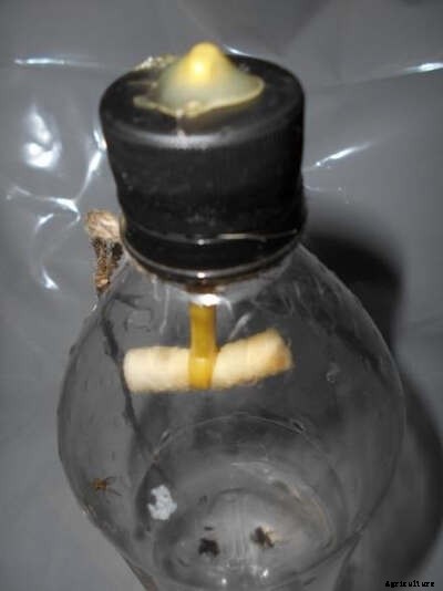 The 3 Rs: Reduce, Reuse, Recycle