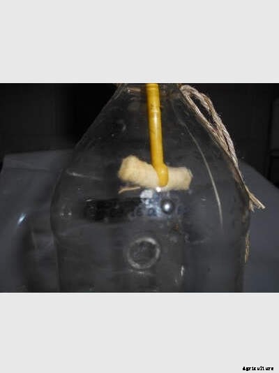 The 3 Rs: Reduce, Reuse, Recycle