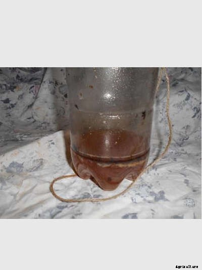 The 3 Rs: Reduce, Reuse, Recycle