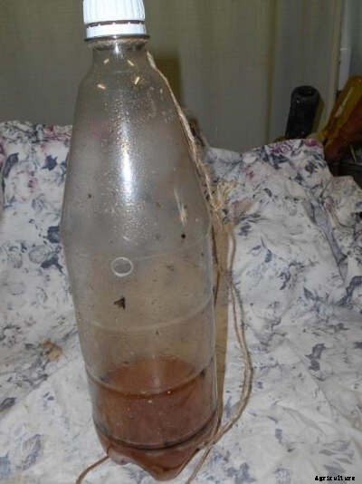 The 3 Rs: Reduce, Reuse, Recycle