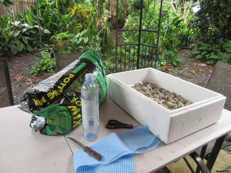 Homemade Wicking Boxes