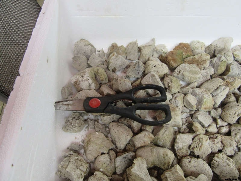 Homemade Wicking Boxes