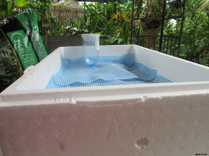 Homemade Wicking Boxes