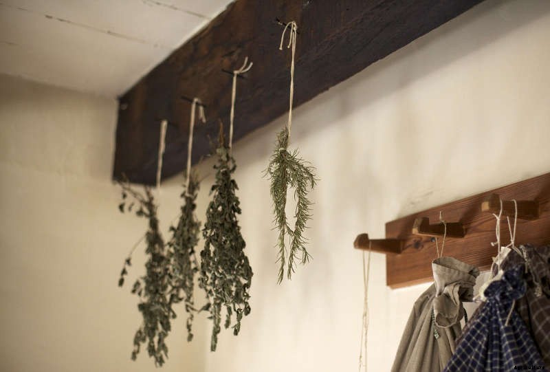 Harvesting and Drying Herbs for Winter