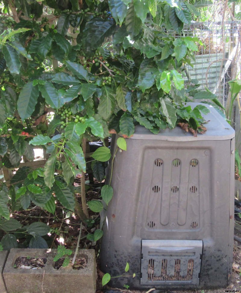 Composting in a Small Garden
