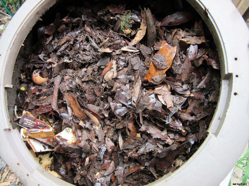 Composting in a Small Garden