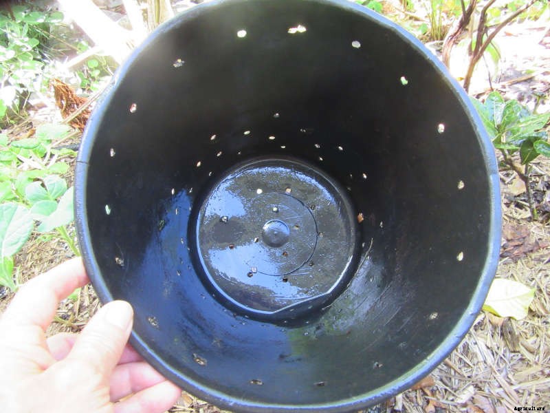 Composting in a Small Garden