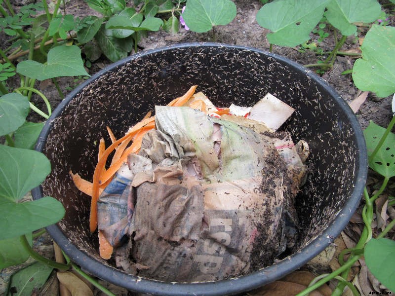 Composting in a Small Garden