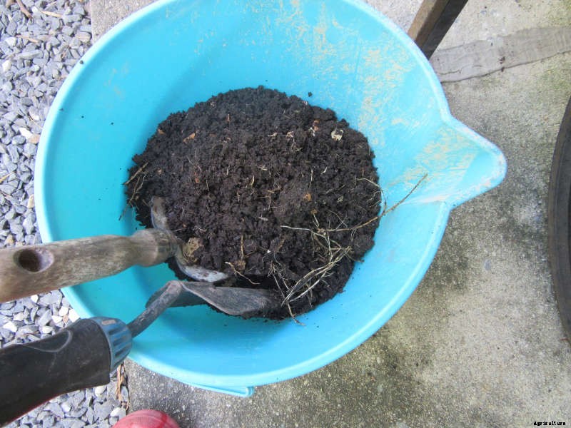 Composting in a Small Garden