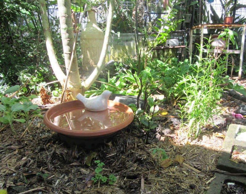 Composting in a Small Garden