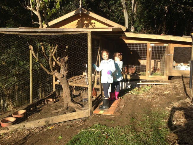 Silky Sweet Lemon Curd