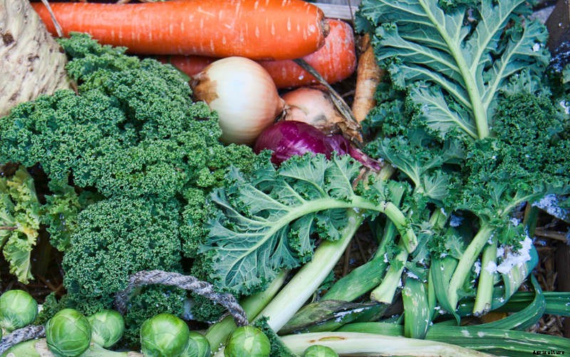 Ensuring a harvest through the cooler Months