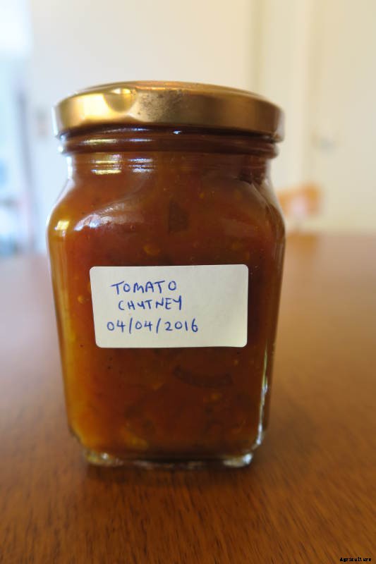 Tomato Chutney