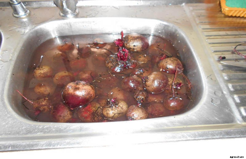 Bottling Beetroot- Simple Beetroot Preservation