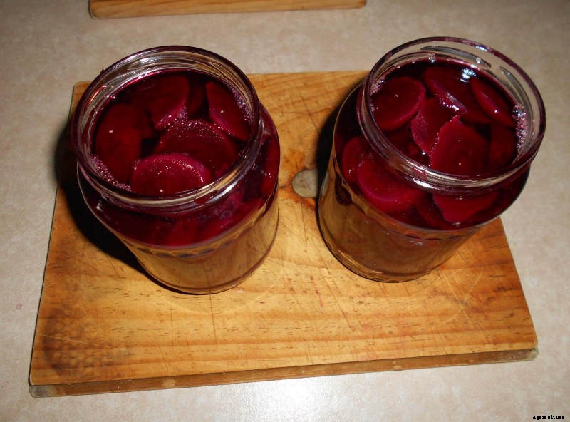 Bottling Beetroot- Simple Beetroot Preservation