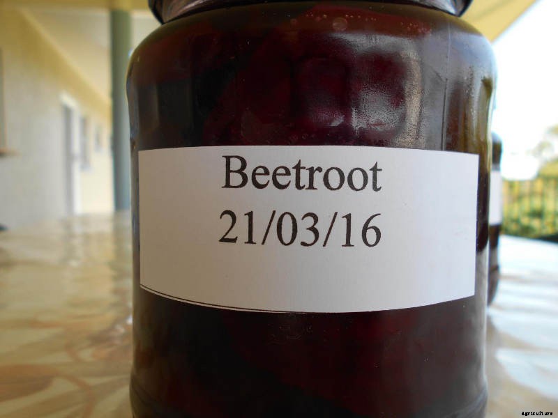 Bottling Beetroot- Simple Beetroot Preservation