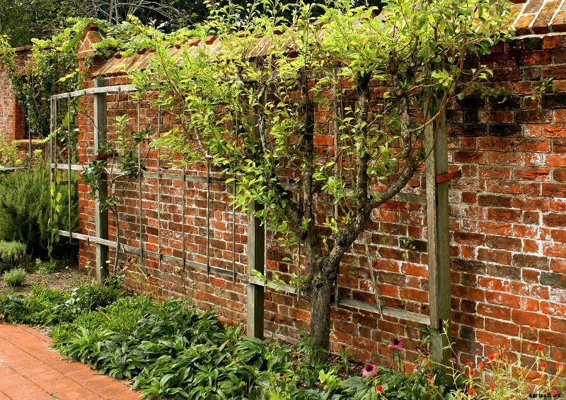 Use your site to the best Advantage!