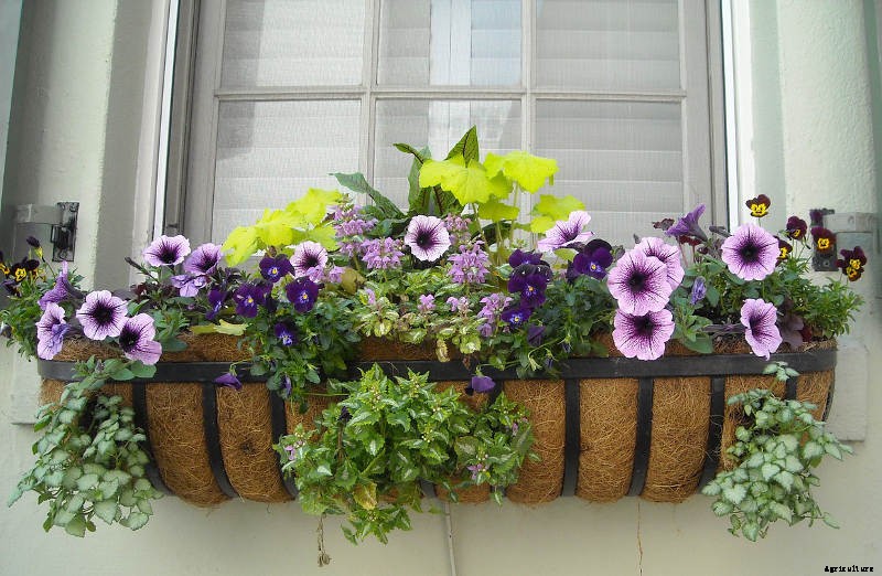 Use your site to the best Advantage!