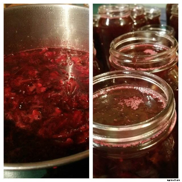 How to make Rosella Jam