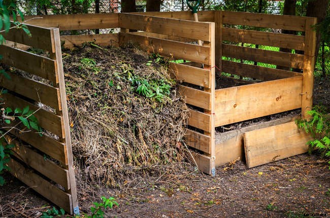 Composting for Beginners