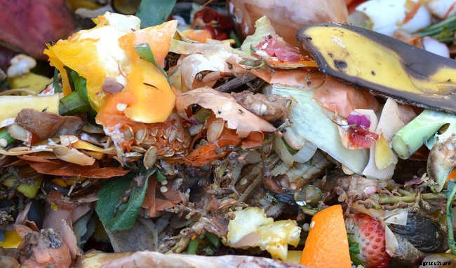 Composting for Beginners