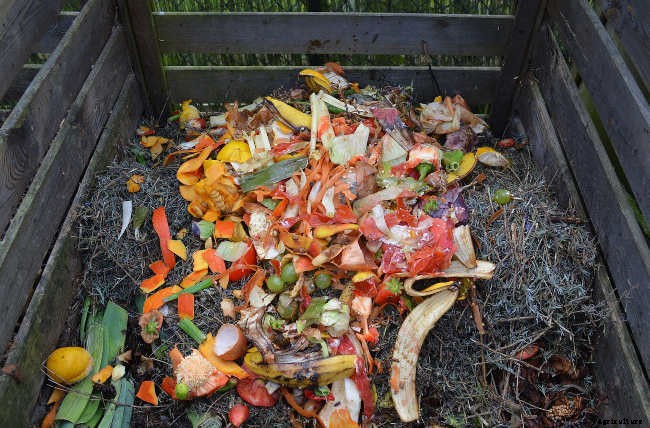 Composting for Beginners