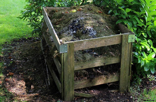 Composting for Beginners