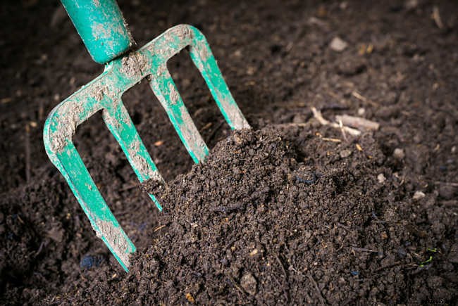 Composting for Beginners