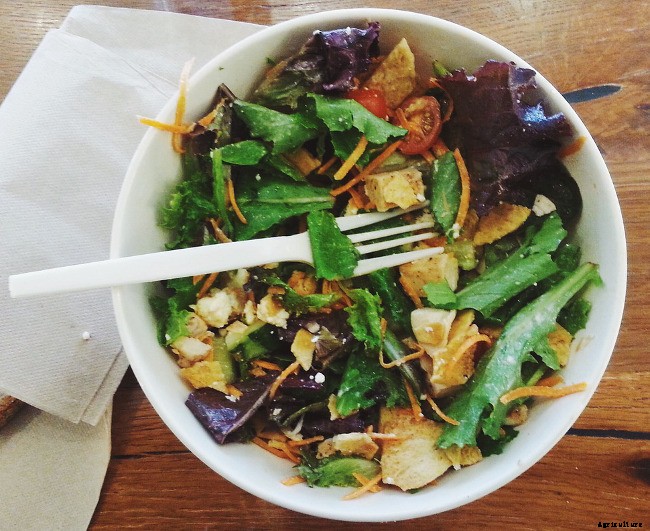 5 Benefits of Starting a Herb Garden