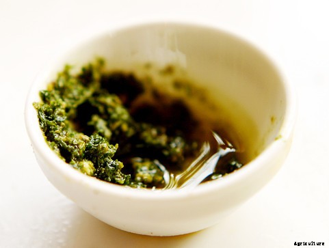 Basil: Garden tips and Kitchen ideas