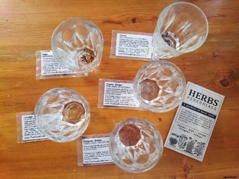 Sowing Seeds Successfully