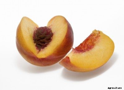 Clingstone Vs Freestone: Learn About Different Stones In Peach Fruit
