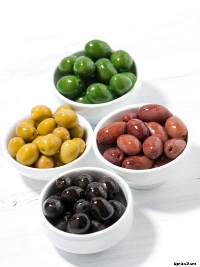 Olive Tree Appetizer: Creating A Christmas Tree Made Of Olives