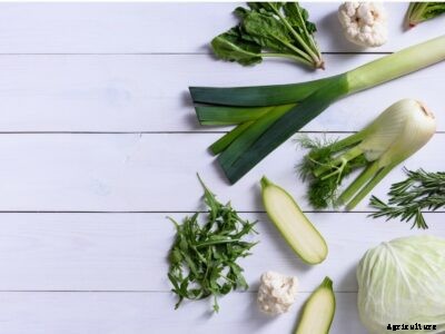 Plants For French Cuisine – Growing French Vegetables In Your Garden