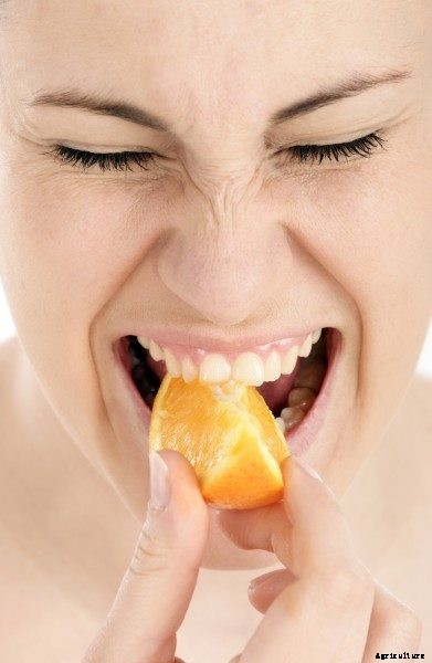 Why An Orange Is Too Sour: How To Make Oranges Sweeter