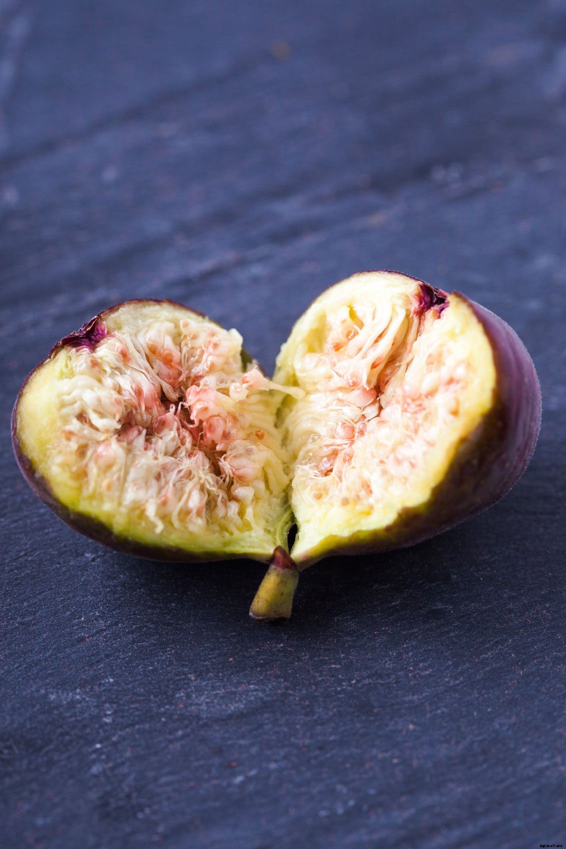 Tough, Dry Figs: Why Your Ripe Figs Are Dry Inside