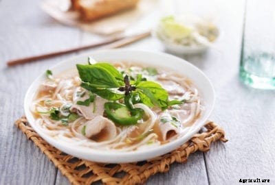 Queenette Thai Basil: Information About Basil ‘Queenette’ Plants