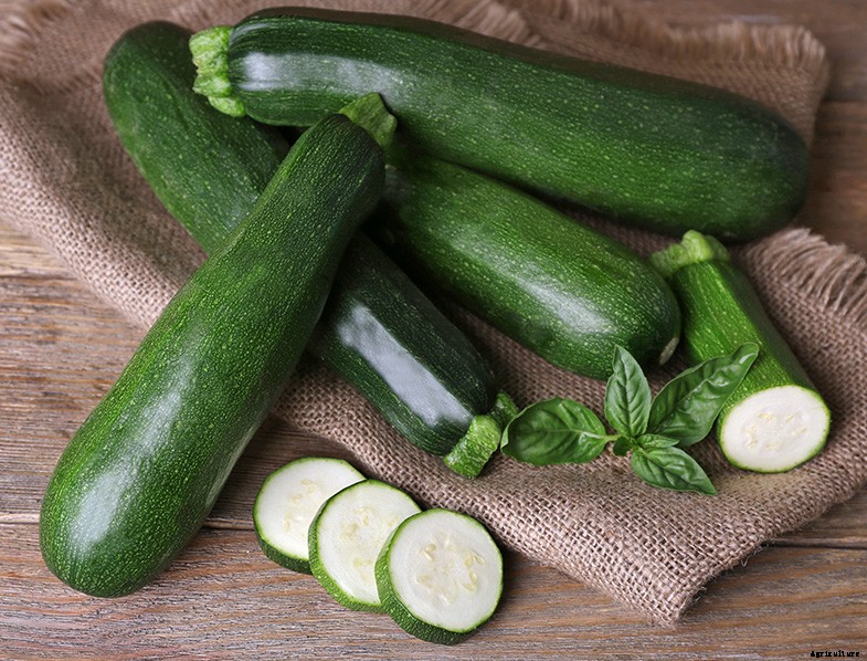 How to Plant & Grow Zucchini: Complete Guide