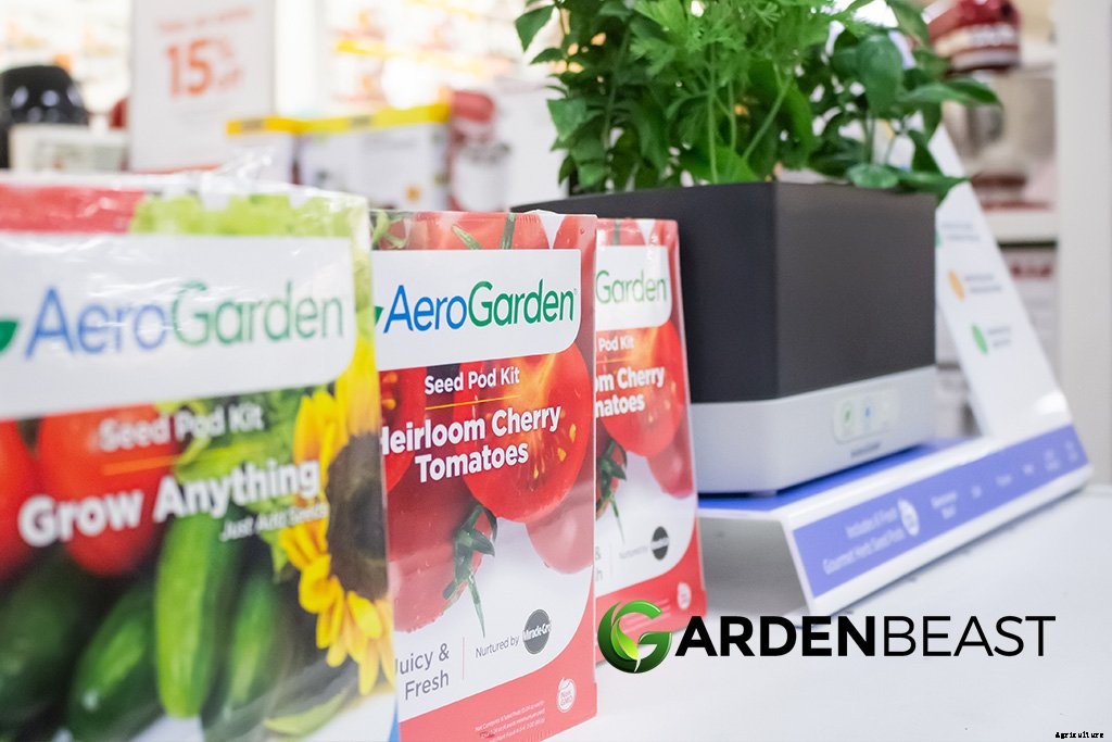 Herb Garden Ideas: Top Herbs to Grow in a Container Garden