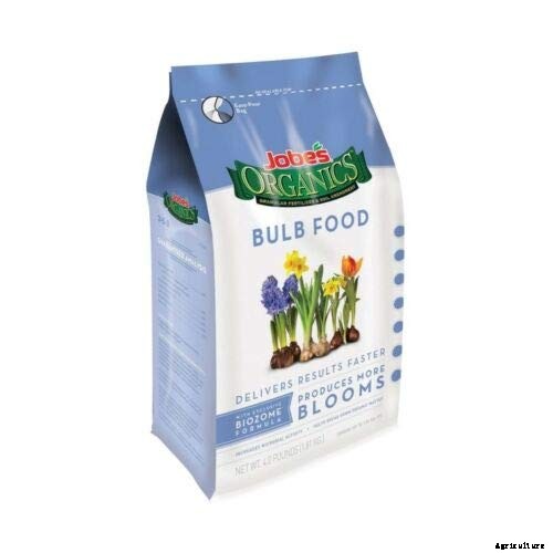 How to Plant & Grow Onions: Complete Guide