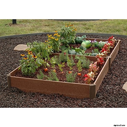 Raised Garden Beds: The Ultimate Guide for Beginner’s