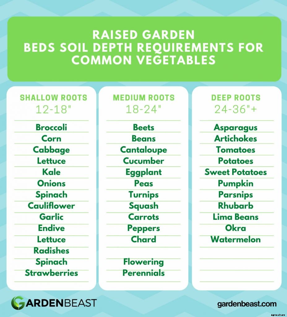Raised Garden Beds: The Ultimate Guide for Beginner’s