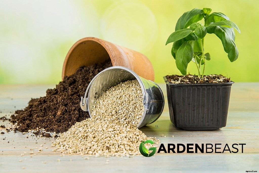 Raised Garden Beds: The Ultimate Guide for Beginner’s