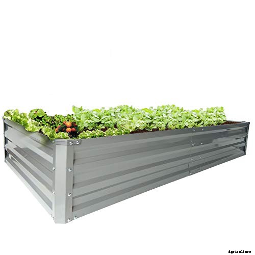 Raised Garden Beds: The Ultimate Guide for Beginner’s