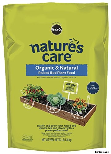 Raised Garden Beds: The Ultimate Guide for Beginner’s