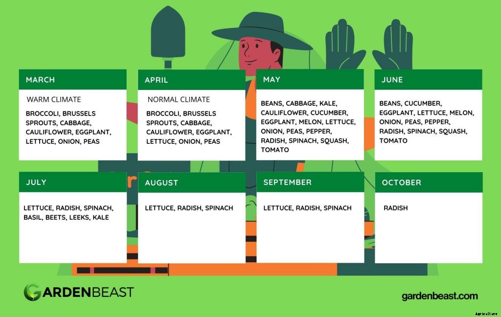 Raised Garden Beds: The Ultimate Guide for Beginner’s