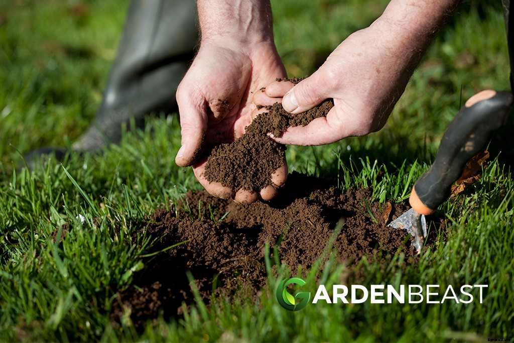 Raised Garden Beds: The Ultimate Guide for Beginner’s