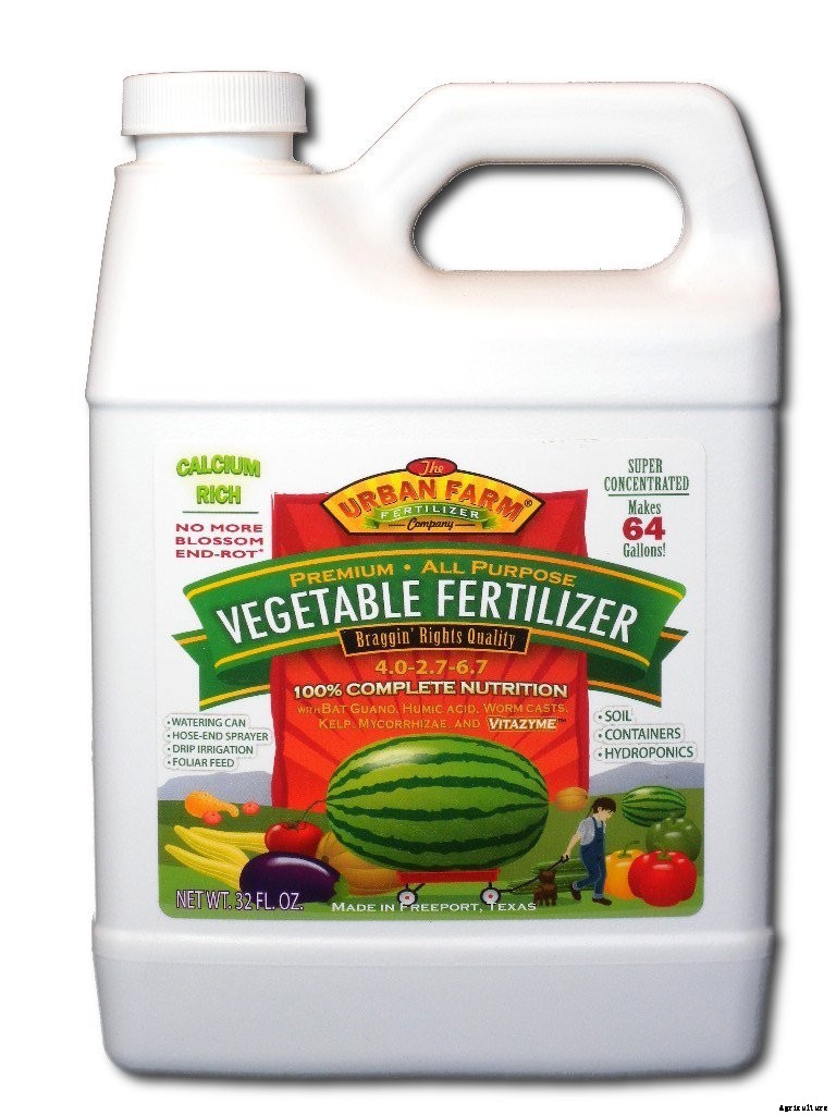 How to Plant & Grow Cucumbers: Complete Guide