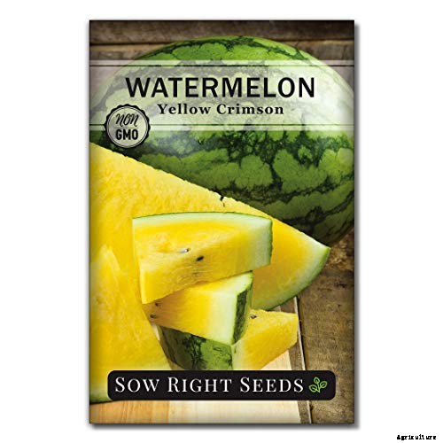 How to Plant & Grow Melons: Complete Guide