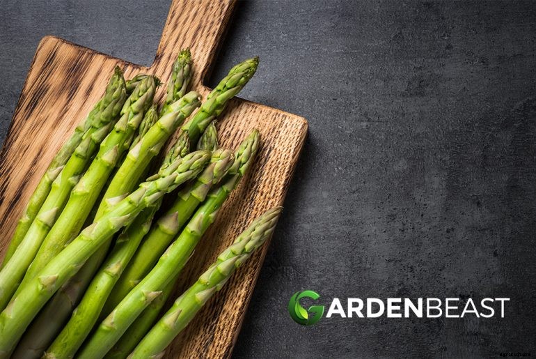 How to Plant & Grow Asparagus: Complete Guide